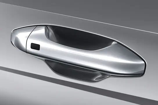 Sejarah Evolusi Kelinci: Dari Zaman Dulu Kala